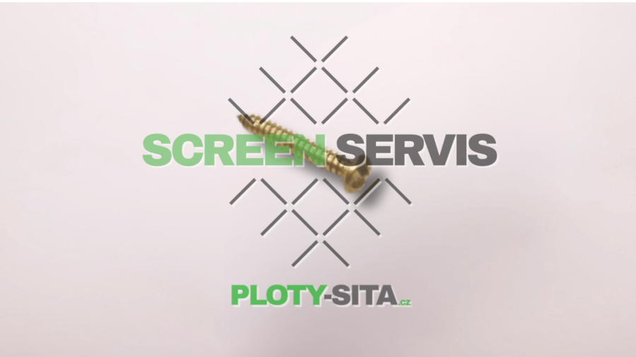 29701-bezpecnostni-sroub